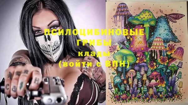 марки lsd Переславль-Залесский