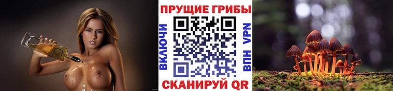 сколько стоит  Сухиничи  Псилоцибиновые грибы GOLDEN TEACHER 